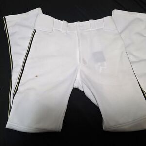 Mizuno Baseball Pants